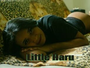 Little_Haru