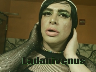 Ladanivenus