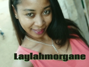 Laylahmorgane