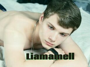 Liamamell