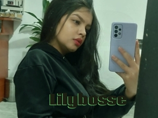 Lilybosse