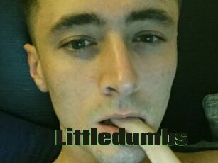 Littledumbs