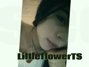 LittleflowerTS