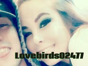 Lovebirds02477