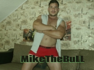 MikeTheBuLL