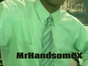 MrHandsomeX