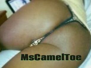 MsCamelToe