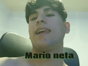 Mario_neta