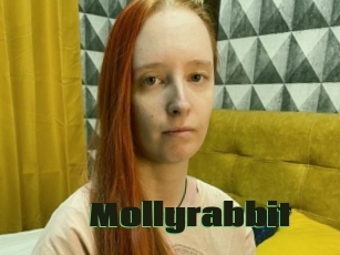 Mollyrabbit