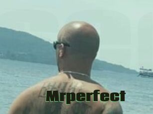 Mrperfect