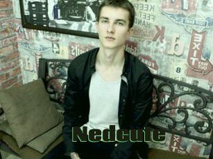 Nedcute