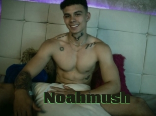 Noahmush