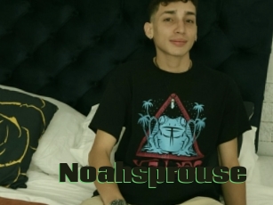 Noahsprouse