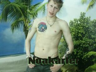 Noakarter