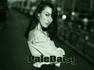 PaleDaisy