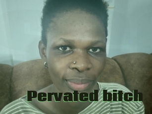 Pervated_bitch