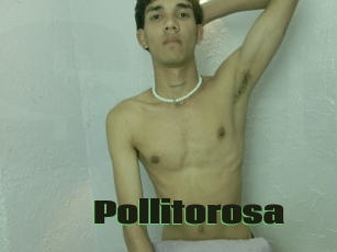 Pollitorosa