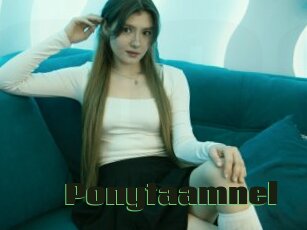 Ponytaamnel