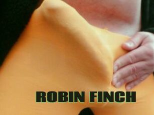 ROBIN_FINCH