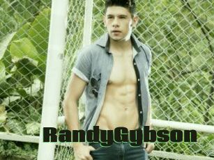 RandyGybson