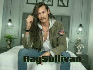 RaySullivan