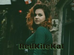 RedKiteKat