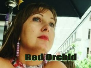 Red_Orchid