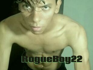 RogueBoy22