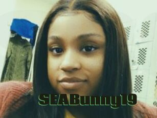 SEABunny19