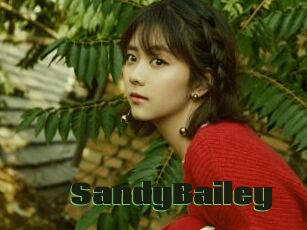 SandyBailey