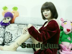 SandyJun