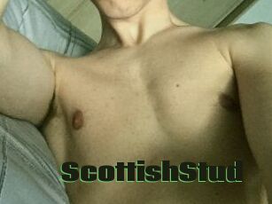 Scottish_Stud