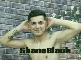 ShaneBlack