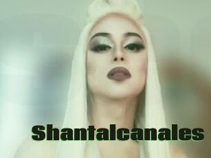 Shantalcanales