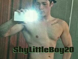 ShyLittleBoy20