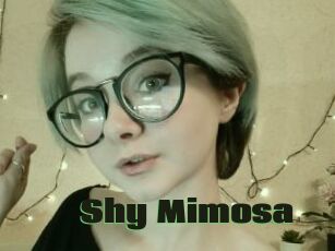 Shy_Mimosa