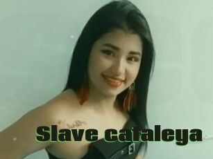 Slave_cataleya