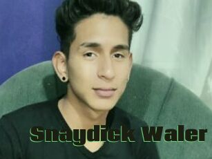 Snaydick_Waler