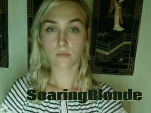 SoaringBlonde