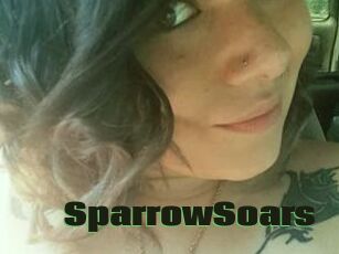 SparrowSoars