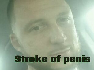 Stroke_of_penis