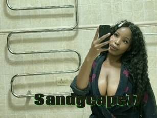 Sandycape77