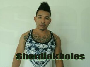 Sherdick_holes