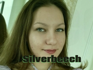 Silverbeech