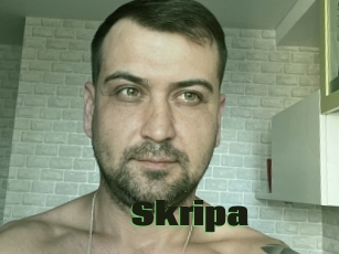 Skripa