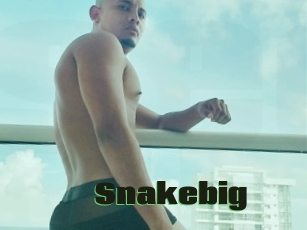 Snakebig