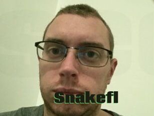 Snakefl