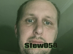 Stew058