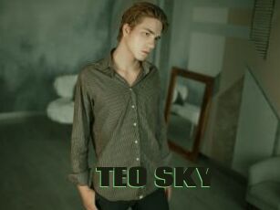 TEO_SKY