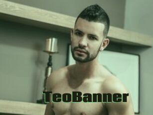 TeoBanner